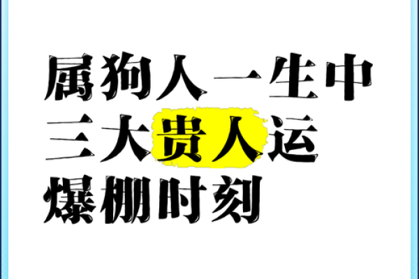 属狗运势:事业、财富与感情的运程展望 属狗运势:事业、财富与感情的运程展望
