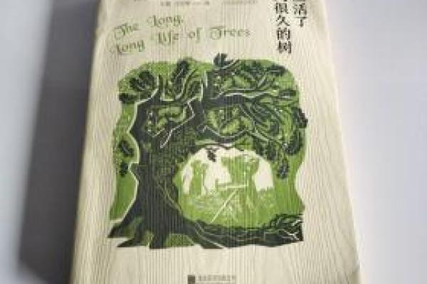 甲子婚姻中的真爱考验：如何在平凡中发现非凡
