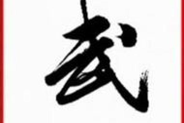 武字公司名字的寓意及其对品牌形象的影响