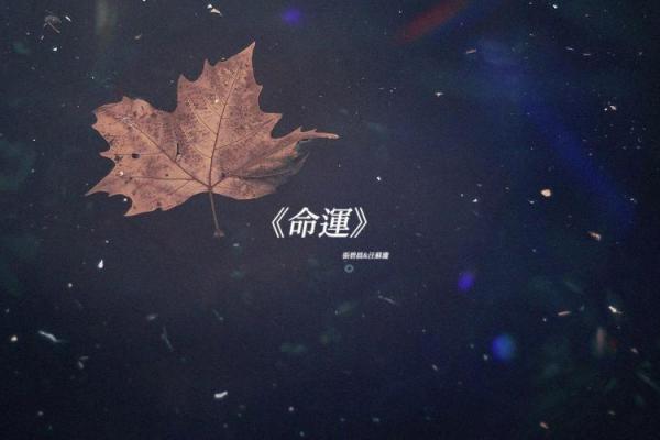 王俊凯的生辰八字分析,看看他的命运注定了什么 王俊凯的生辰八字分析,看看他的命运注定了什么