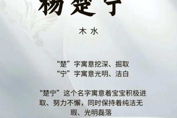 为杨姓男孩取个有气质的名字,给孩子带来好运 为杨姓男孩取个有气质的名字,给孩子带来好运