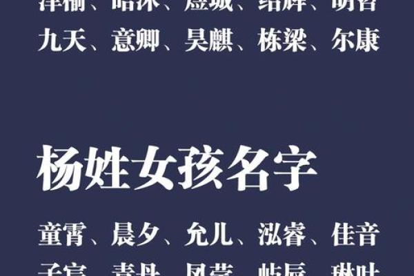为杨姓男孩取个有气质的名字,给孩子带来好运 为杨姓男孩取个有气质的名字,给孩子带来好运