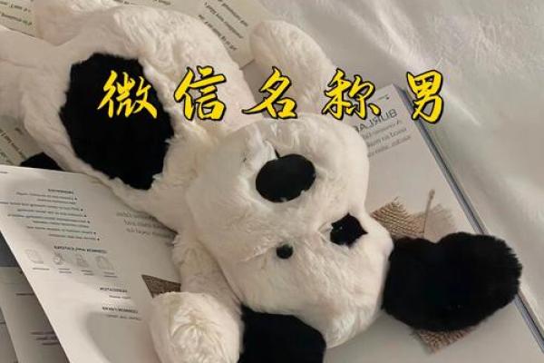 如何选择适合男孩的微信名字,彰显独特魅力 如何选择适合男孩的微信名字,彰显独特魅力