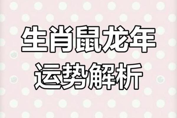 属鼠人生的事业与财运预测 属鼠人生的事业与财运预测