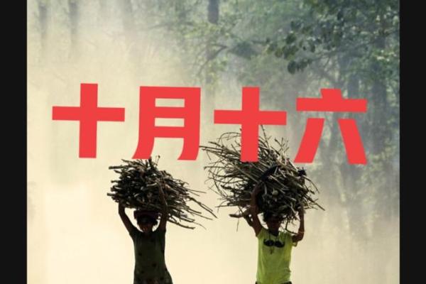 想知道是农历什么日子吗?答案在这里! 想知道是农历什么日子吗?答案在这里!