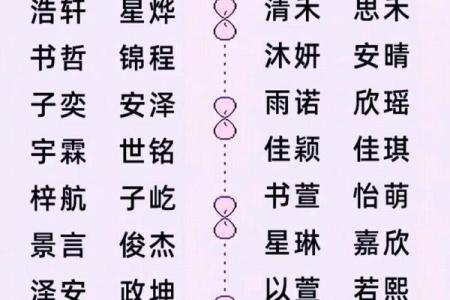 鸡宝宝起名指南：为宝宝挑选最合适的名字