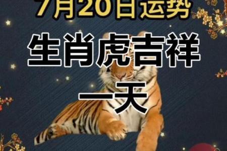 属虎今年事业运程如何？职场突破的关键因素
