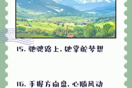 八字命理基础视频教学，开启你的命运之旅