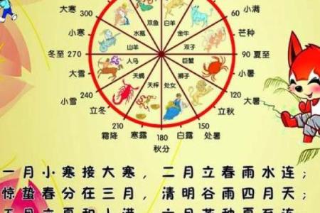 探索农历年名称背后的历史与传统