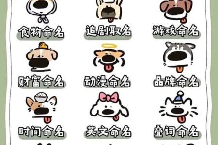 为狗年十一月女宝宝挑选合适名字的技巧与建议