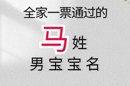 马姓男孩取名建议：富有寓意的名字推荐