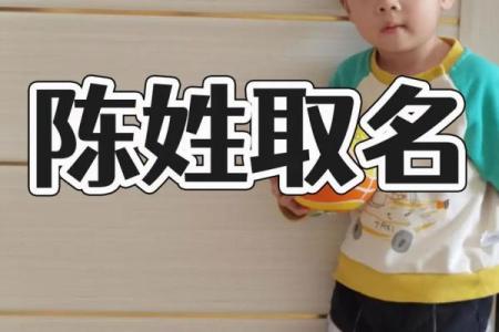 陈姓宝宝命名技巧：让名字与宝宝的未来相得益彰