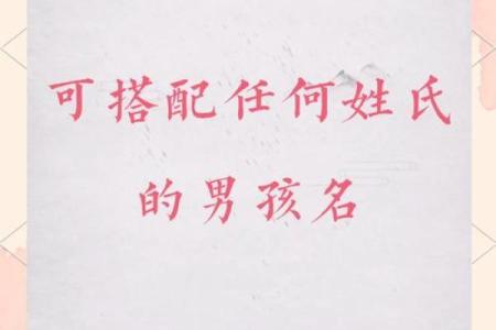 带政字的男孩名字寓意与选择指南