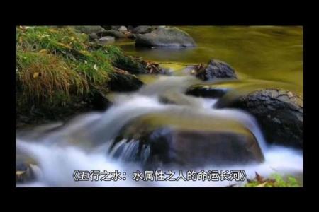 揭秘五行疑馆背后的神秘力量，你不知道的奇妙世界