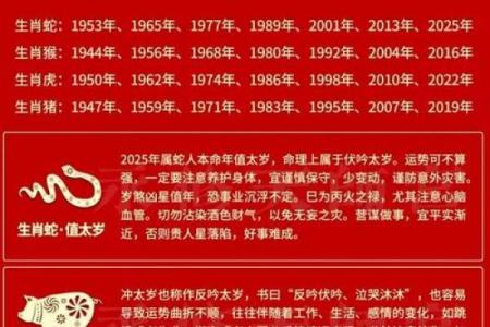 属蛇人在的财富与事业运势预测