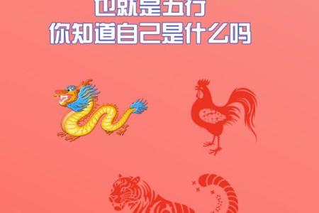 命中五行金水纯的生肖有哪些，你了解吗？