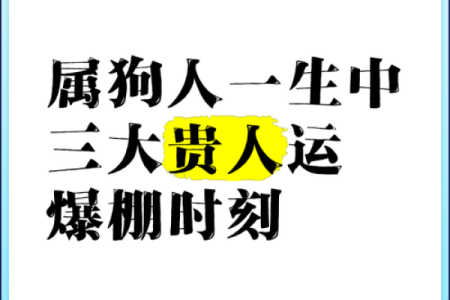 属狗运势：事业、财富与感情的运程展望