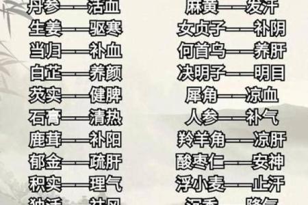 全面了解常见草药名称与功效介绍