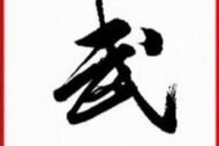 武字公司名字的寓意及其对品牌形象的影响