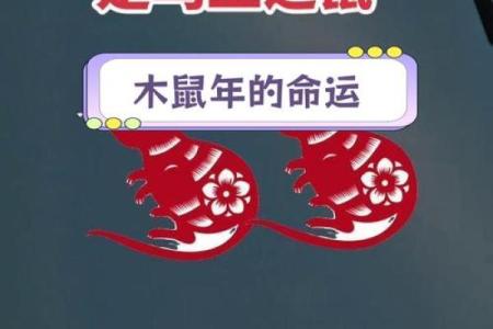 属鼠人在健康运势的变化与防范