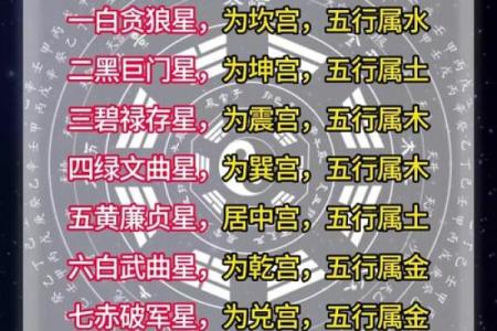 九号五行解析：如何通过五行提升你的运势与生活质量