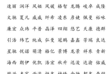 振字辈男孩名字的寓意与选择要点