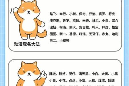 精选百个泰迪犬名字，助你为爱犬取个完美名字