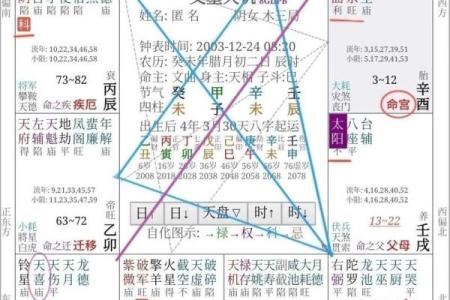 揭秘紫微斗数与八字命理：你不知道的命运密码！