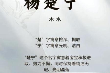 为杨姓男孩取个有气质的名字，给孩子带来好运