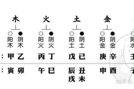 五行属贰的秘密解析：如何理解与运用五行理论中的贰元素