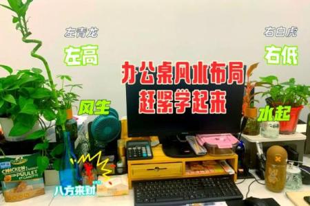 从客厅到办公室：打造风水良好的工作与生活空间