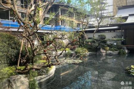 如何通过绿化提升办公楼前的风水气场