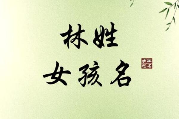 林姓名字的历史渊源与现代意义 林姓名字的历史渊源与现代意义