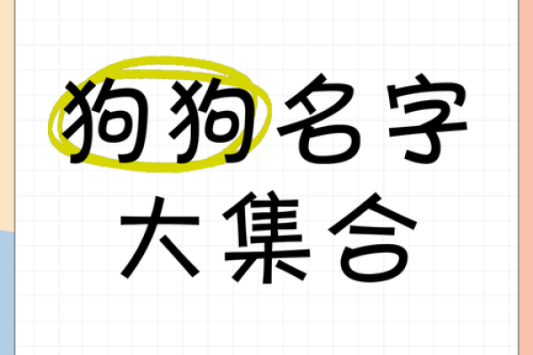 探索狗狗名字的创意灵感 探索狗狗名字的创意灵感