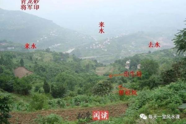 阴宅风水如何影响家庭运势与健康福祉 阴宅风水如何影响家庭运势与健康福祉