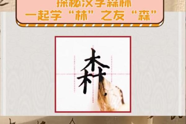 林字寓意的多层次解读 林字寓意的多层次解读