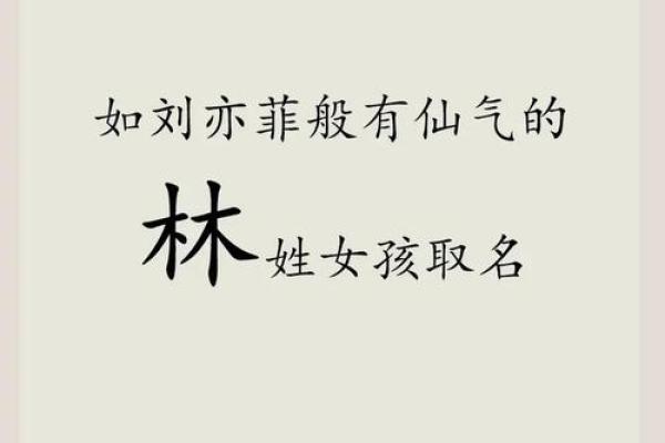 林字寓意的多层次解读 林字寓意的多层次解读