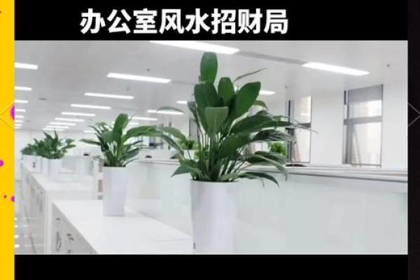 提升办公室大门风水的五个关键要素 提升办公室大门风水的五个关键要素