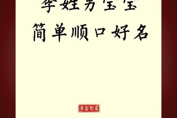 如何为李姓男孩取个与众不同的名字 如何为李姓男孩取个与众不同的名字