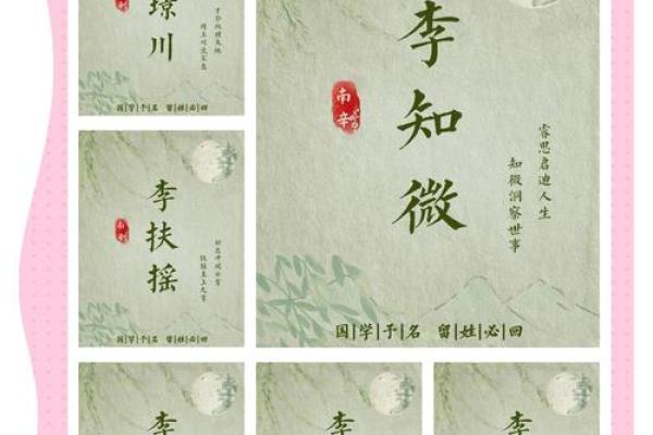 如何为李姓男孩取个与众不同的名字 如何为李姓男孩取个与众不同的名字