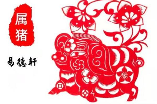 属猪人的事业运与财富运如何提升 属猪人的事业运与财富运如何提升