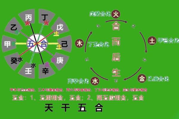 女命八字的吉凶分析,揭示命运玄机 女命八字的吉凶分析,揭示命运玄机