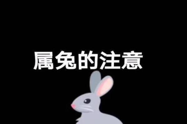 今日兔人运程分析:探索好运与挑战并存的一天 今日兔人运程分析:探索好运与挑战并存的一天