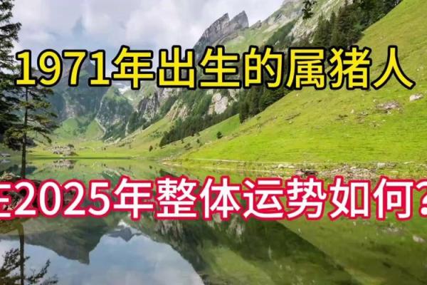 猪人年度运程指南:挑战与机遇并存 猪人年度运程指南:挑战与机遇并存