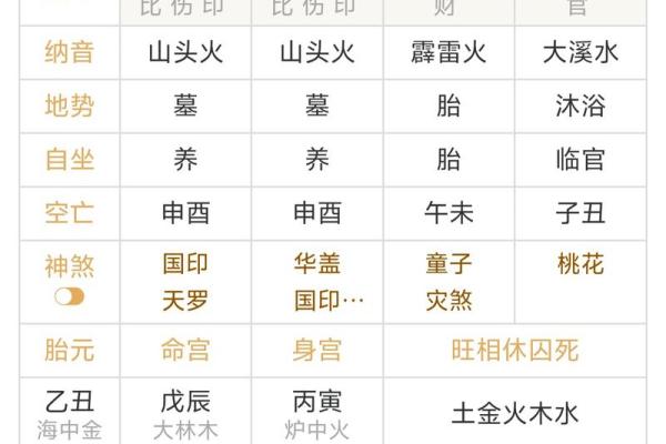 掌握八字排盘技巧,轻松解读人生运势秘诀 掌握八字排盘技巧,轻松解读人生运势秘诀