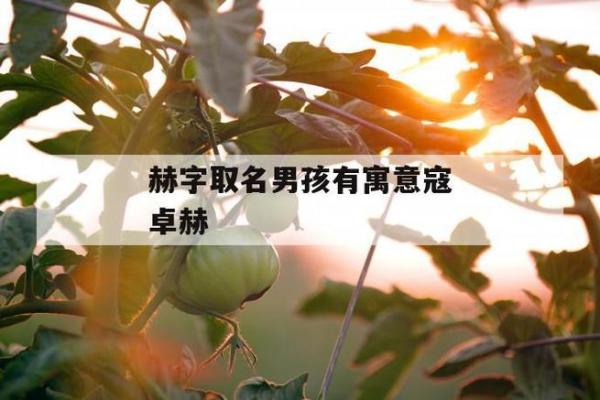 如何理解珺在命名中的独特魅力 如何理解珺在命名中的独特魅力