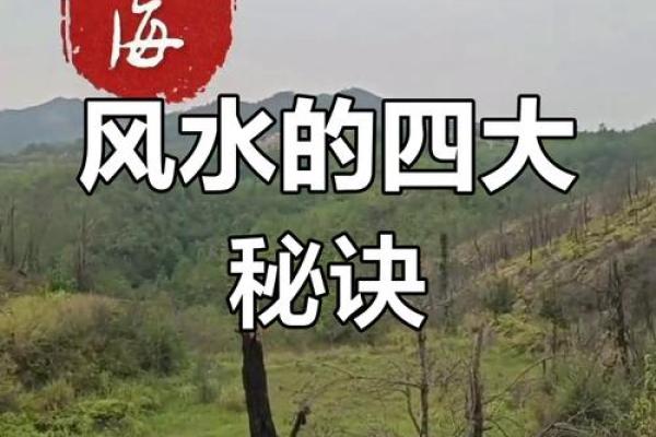 掌控运势：风水布局带来的好运气