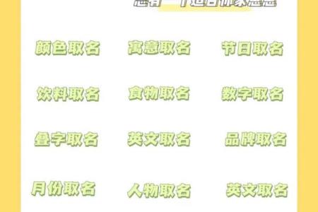 探索狗狗名字的创意灵感