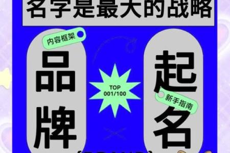 组织的名字与企业成长：命名的战略意义