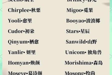 选一个完美英文店铺名字，提升品牌形象